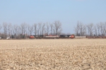 CN 5608